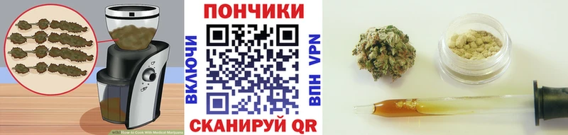 Canna-Cookies марихуана  наркошоп  Октябрьский 