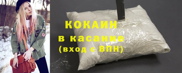 крисы Алзамай