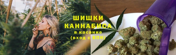 крисы Алзамай