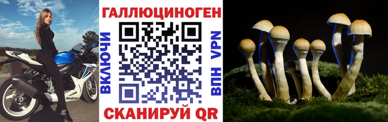 купить   MEGA tor  Галлюциногенные грибы GOLDEN TEACHER  Октябрьский 