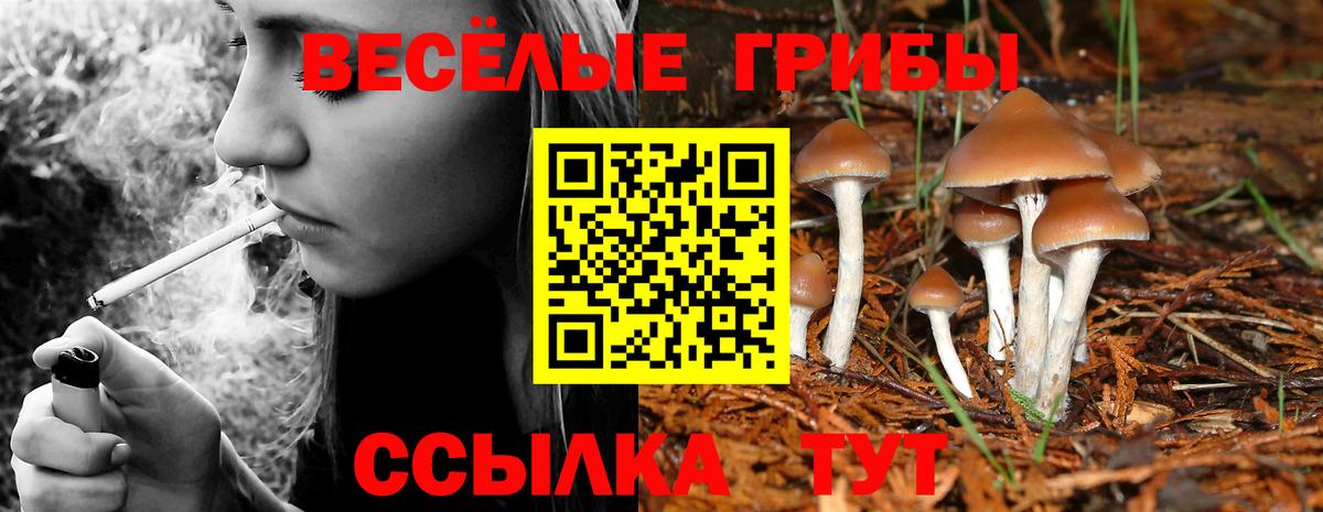 Галлюциногенные грибы Psilocybe  Вход с VPN  Октябрьский 